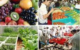 Triển khai "Tháng hành động vì chất lượng, vệ sinh an toàn thực phẩm" năm 2013